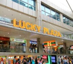 Lucky Plaza (D9), Shop House #530849451